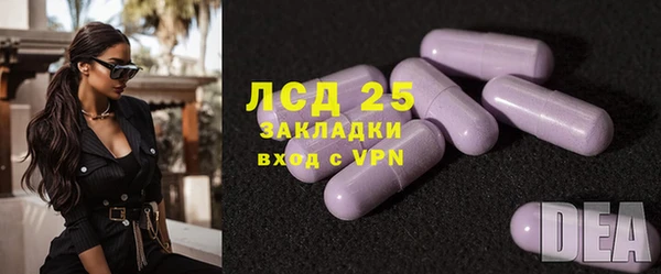 ПСИЛОЦИБИНОВЫЕ ГРИБЫ Горно-Алтайск