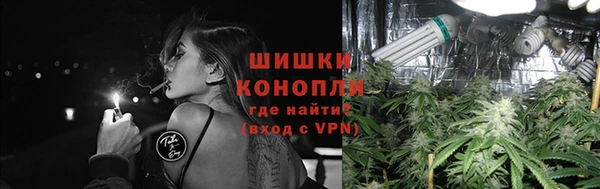 ПСИЛОЦИБИНОВЫЕ ГРИБЫ Горно-Алтайск