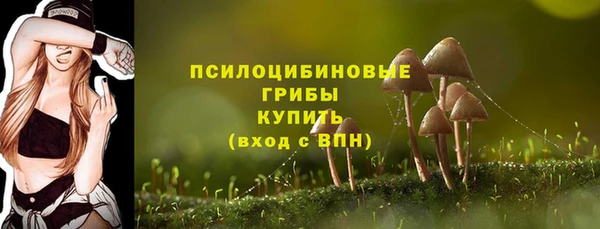 бошки Горняк