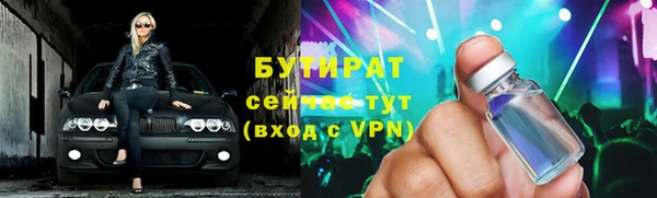 молекула духа Вяземский