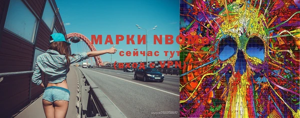 ПСИЛОЦИБИНОВЫЕ ГРИБЫ Горно-Алтайск