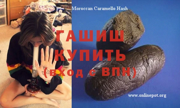 ПСИЛОЦИБИНОВЫЕ ГРИБЫ Горно-Алтайск