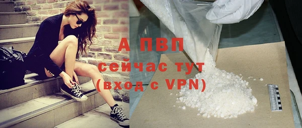 ПСИЛОЦИБИНОВЫЕ ГРИБЫ Горно-Алтайск